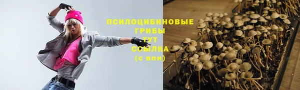 спиды Алексеевка