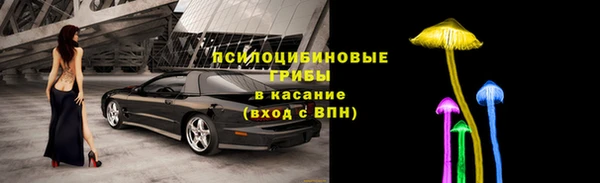спиды Алексеевка