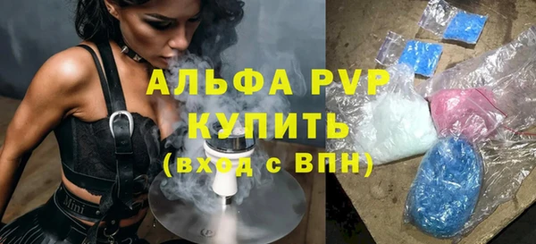 амф Алексин