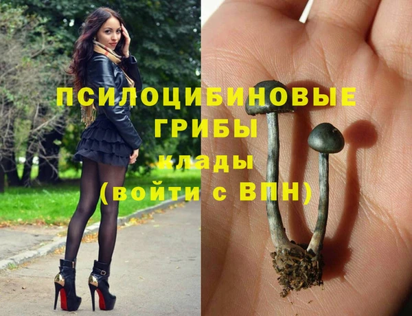 кокс Алзамай