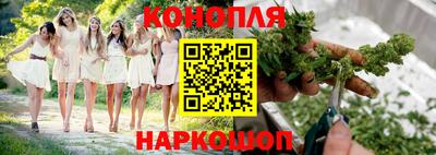 гашик Белореченск