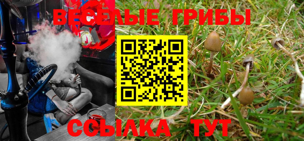 Псилоцибиновые грибы мухоморы  Вход с VPN  Галлюциногенные грибы Psilocybe  Ишим 